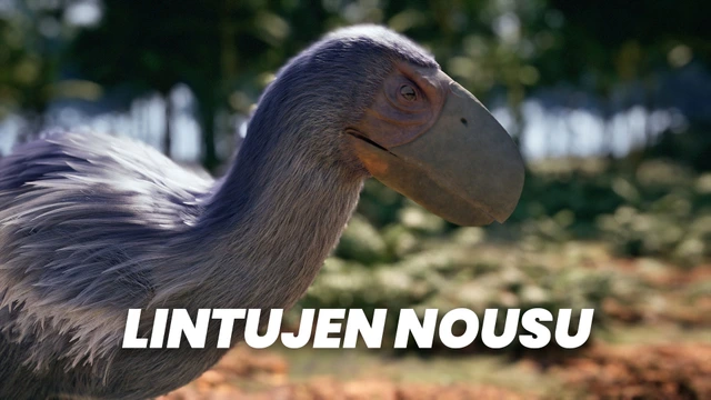 Lintujen nousu
