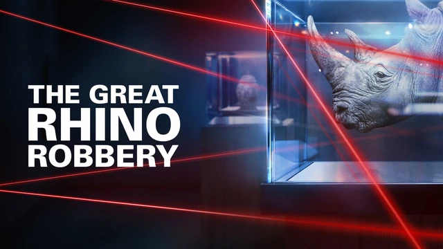 The Great Rhino Robbery