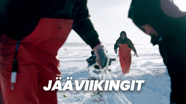 Jääviikingit