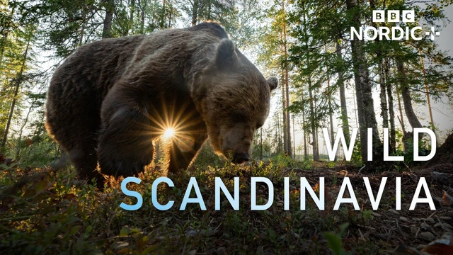 Kesytön Skandinavia