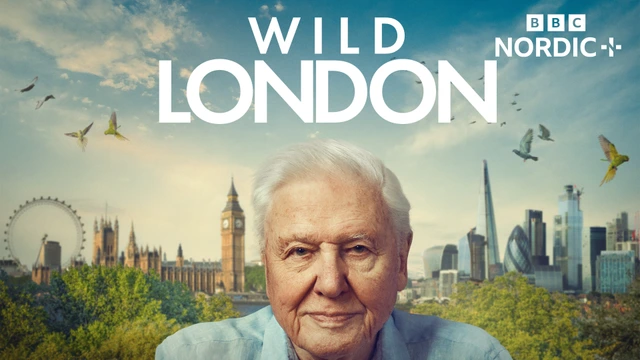 Villi Lontoo David Attenborough'n seurassa