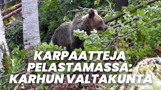 Karpaatteja pelastamassa: Karhun valtakunta
