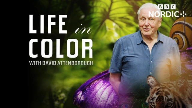 Life in Colour with David Attenborough