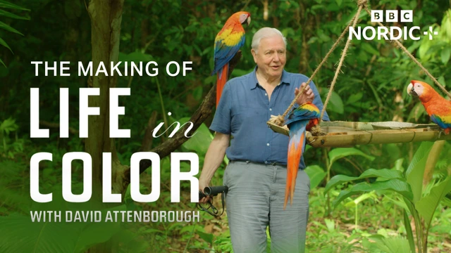 The Making of David Attenborough's Life in Colour