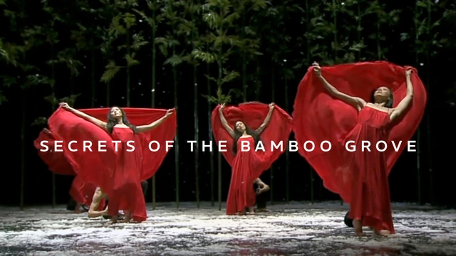 Secrets of the Bamboo Grove