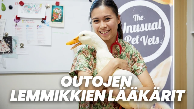 Outojen lemmikkien lääkärit