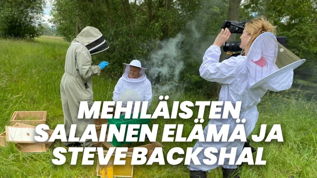 Mehiläisten salainen elämä ja Steve Backshall