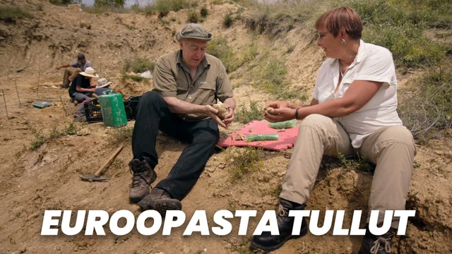 Euroopasta tullut
