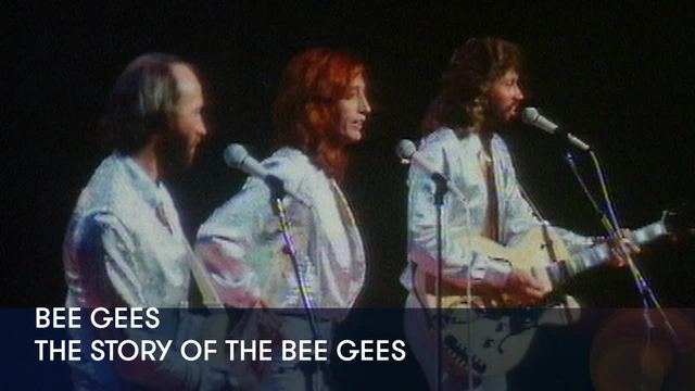 Bee Gees - The Story of the Bee Gees