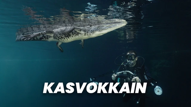 Kasvokkain
