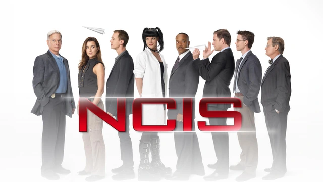 Navy NCIS: Naval Criminal Investigative Service