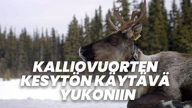 Kalliovuorten kesytön käytävä: Yellowstonesta Yukoniin