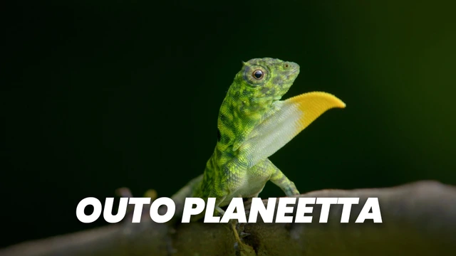 Outo planeetta