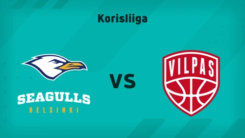 Helsinki Seagulls - Salon Vilpas