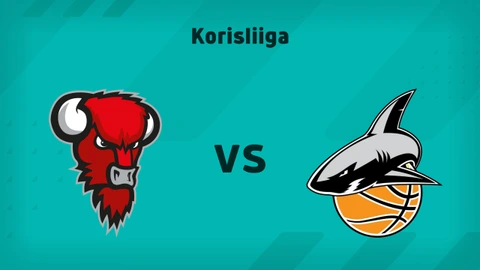 Bisons Loimaa - Korihait