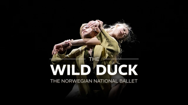 The Wild Duck