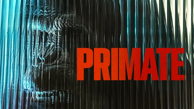 Primate
