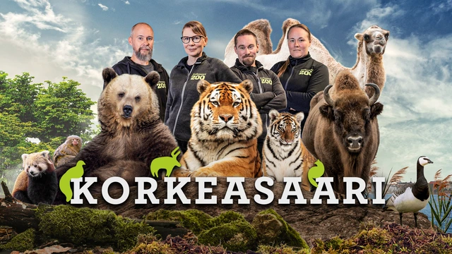 4 - Poikasten aikaa