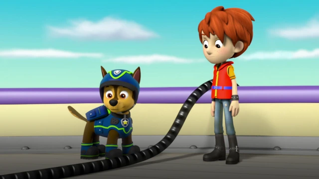 25 - Paw Patroller Upoksissa; Varastelevat Varikset