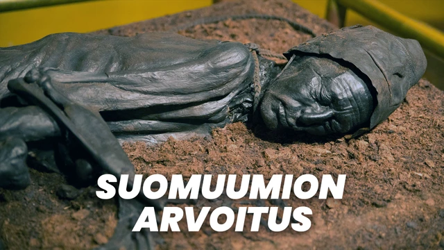 1 - Suomuumion arvoitus