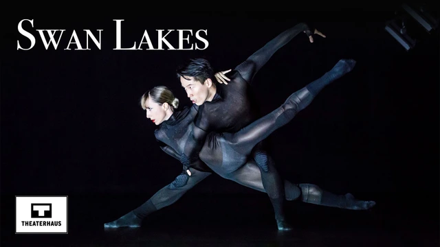 Swan Lakes