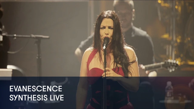 Evanescence - Synthesis Live
