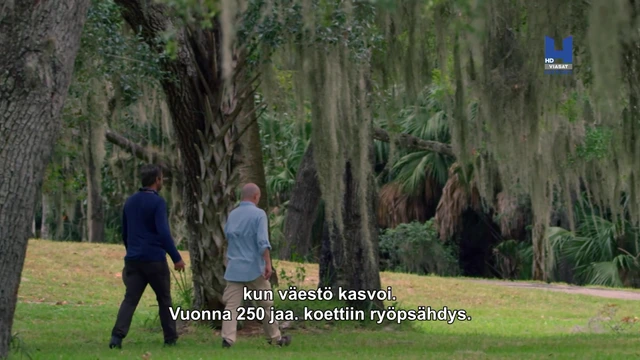 1 - Mayojen muutto