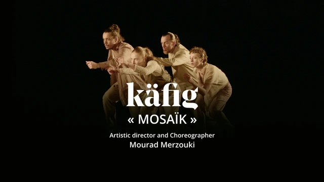 Käfig: Mosaïk