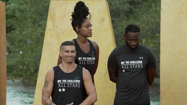 6 - Revenge Of The All Stars