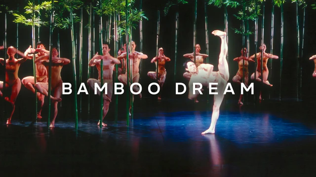 Bamboo Dream