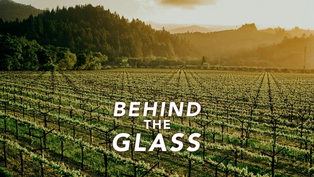 Behind the Glass