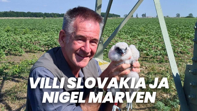 Villi Slovakia ja Nigel Marven