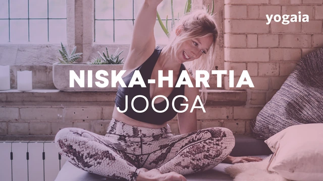 Niska-hartiajooga