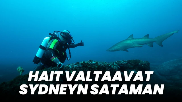 Hait valtaavat Sydneyn sataman