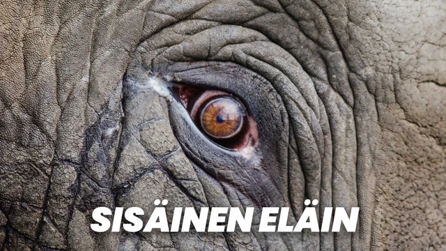 Sisäinen eläin