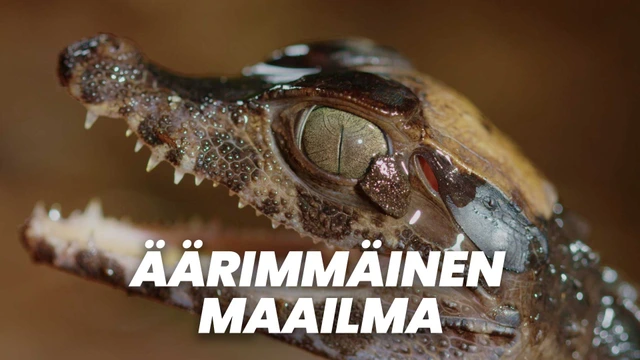 Äärimmäinen maailma