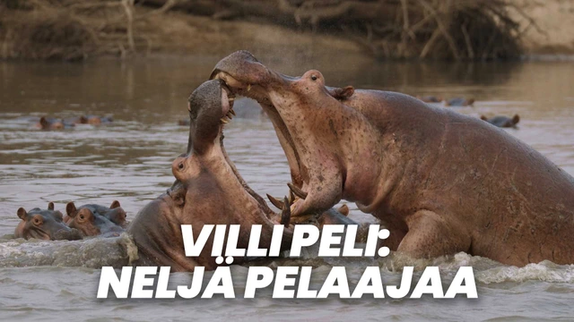Villi peli: Neljä pelaajaa