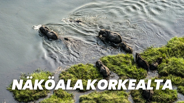 Näköala korkealta