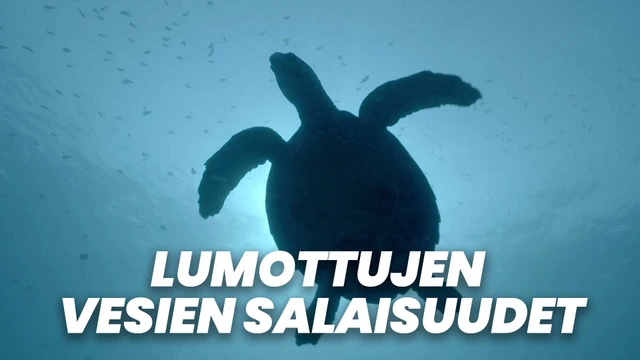 Lumottujen vesien salaisuudet