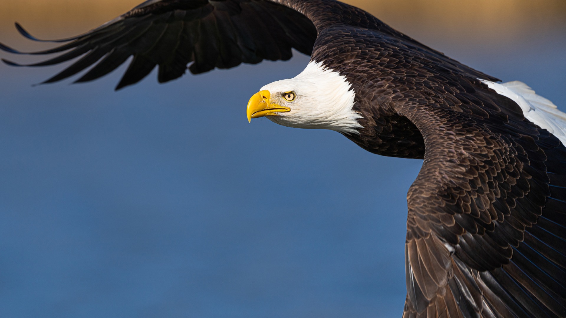 The Americas • Kausi 1 • 1 - The Atlantic Coast