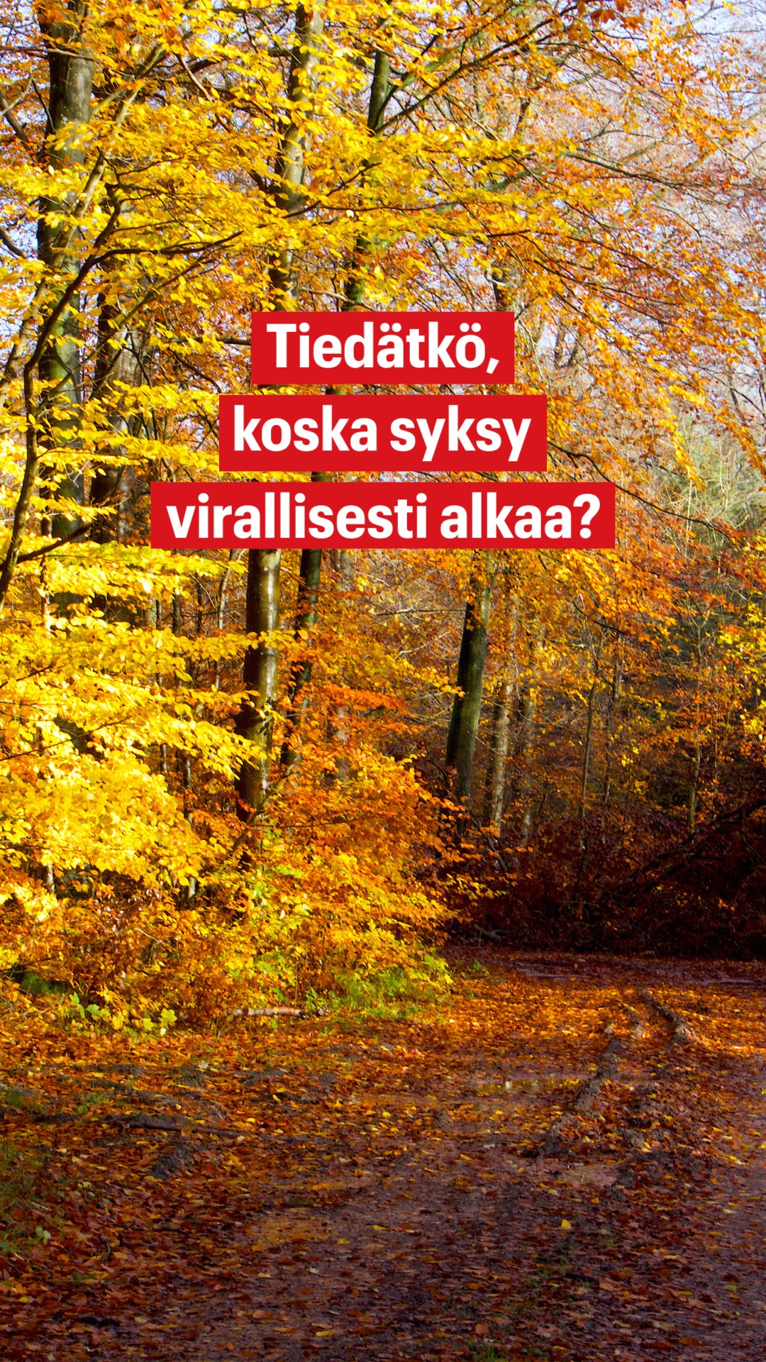 n-in-syksy-m-ritell-n-ilta-sanomat