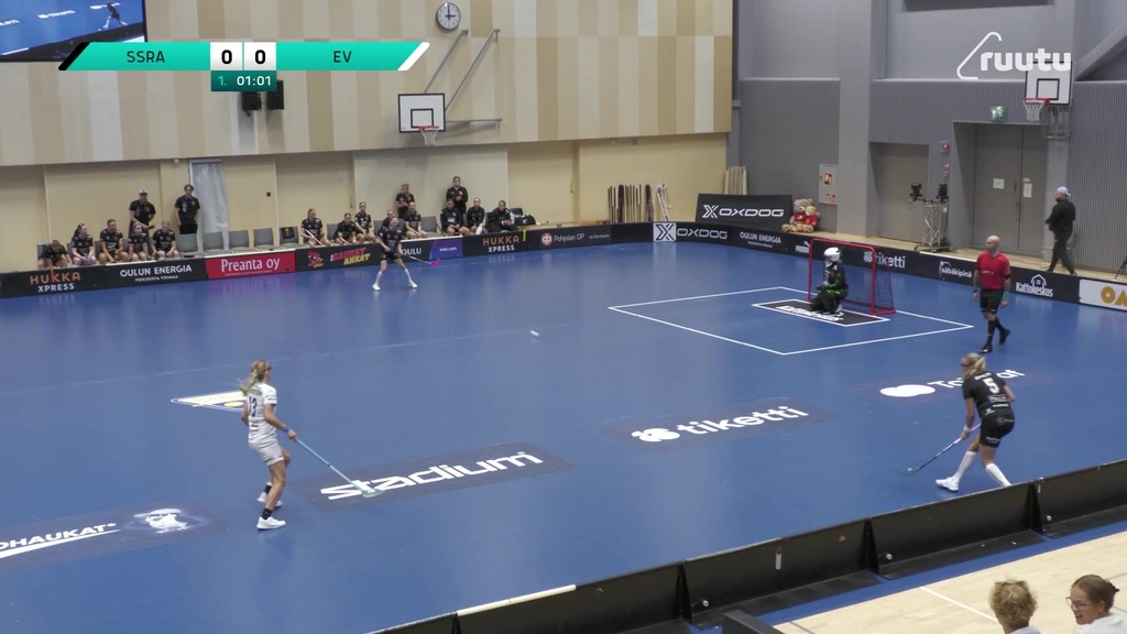 Maalikooste: SSRA - EräViikingit 12.9.2026