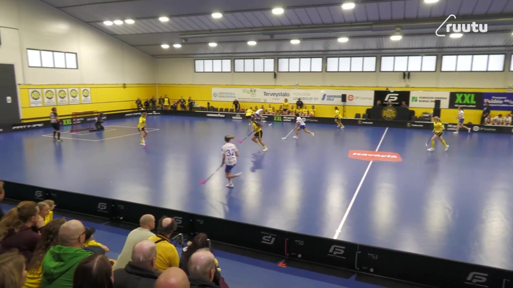 Maalikooste: PSS - ÅIF 28.2.2026