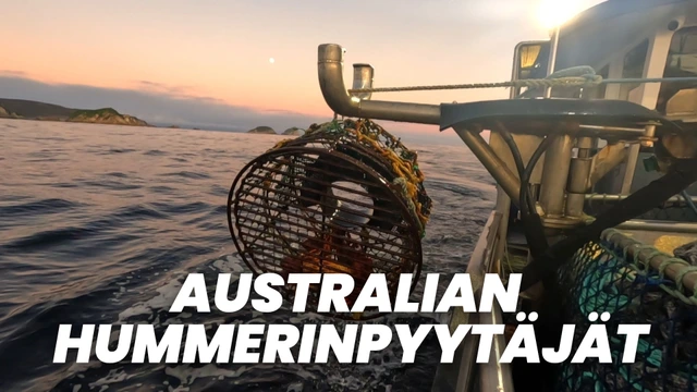 Australian hummerinpyytäjät