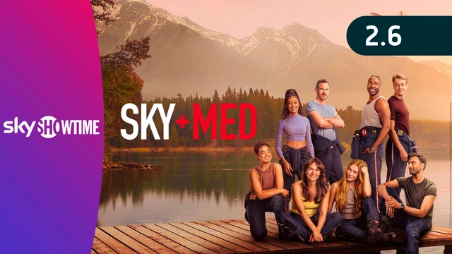 SkyMed