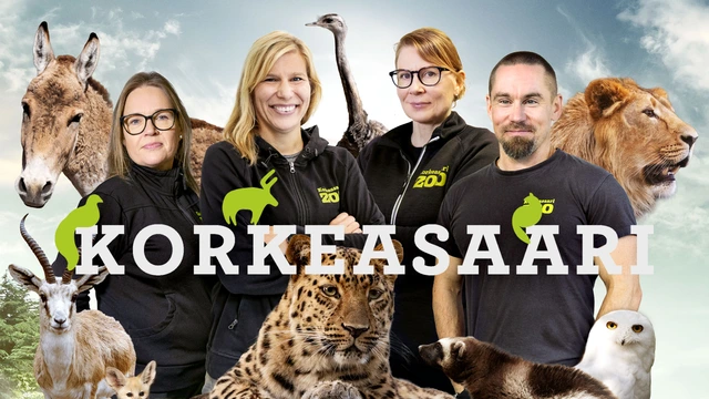 Korkeasaari