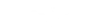 MTV Reality