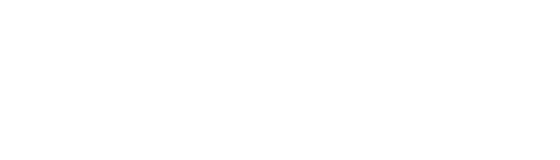 Totally Turtles