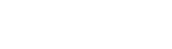 Totally Turtles