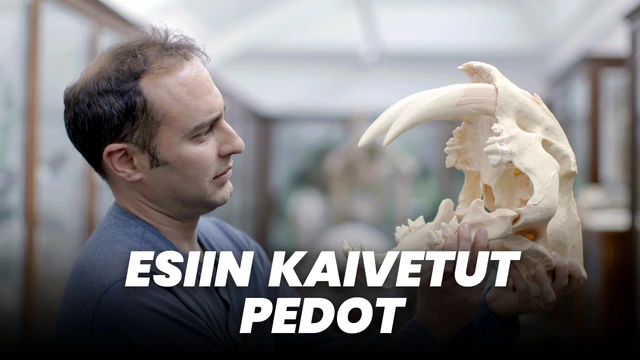 Esiin kaivetut kadotetut pedot